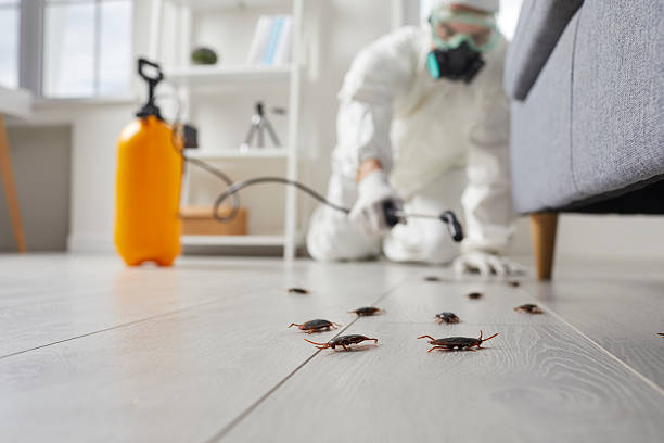 Trusted Fumigation Services service in Hawthorne, NY - Nex Pest Control