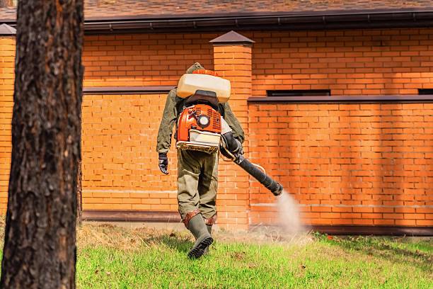 Trusted Mosquito Control service in Hawthorne, NY - Nex Pest Control